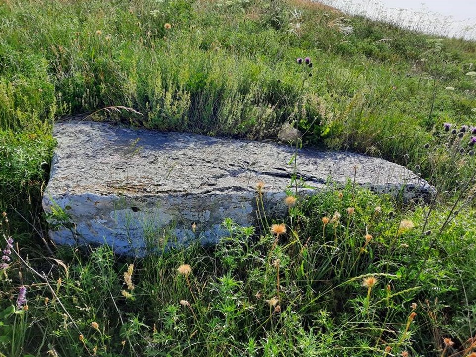 Arheološko područje – Mandina gradina i nekropola sa stećcima, Općina Tomislavgrad